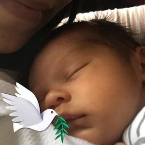 Meet your Posher, Rosa